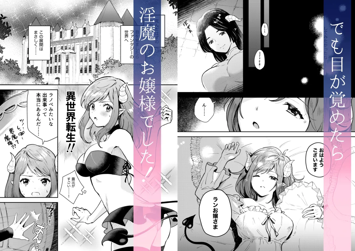 転生淫魔の生きなおし 転生淫魔の生きなおし