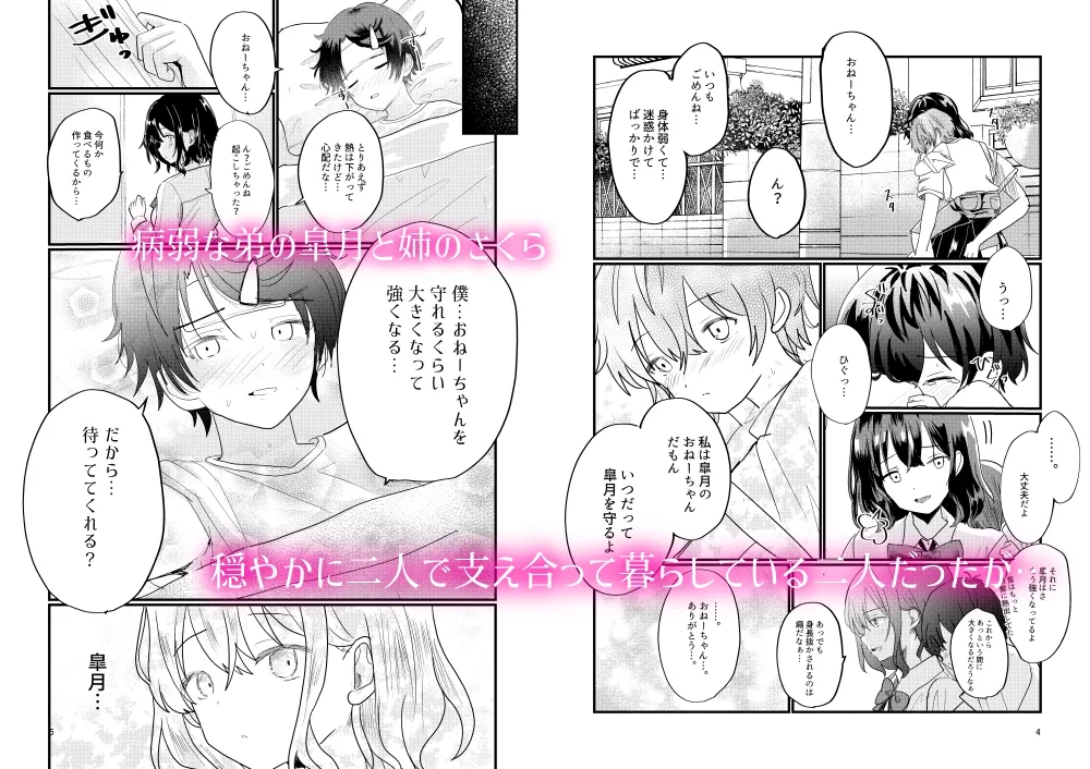 姉じゃなきゃ××しない⁉～一途な弟に求められて流されエッチ⁉～