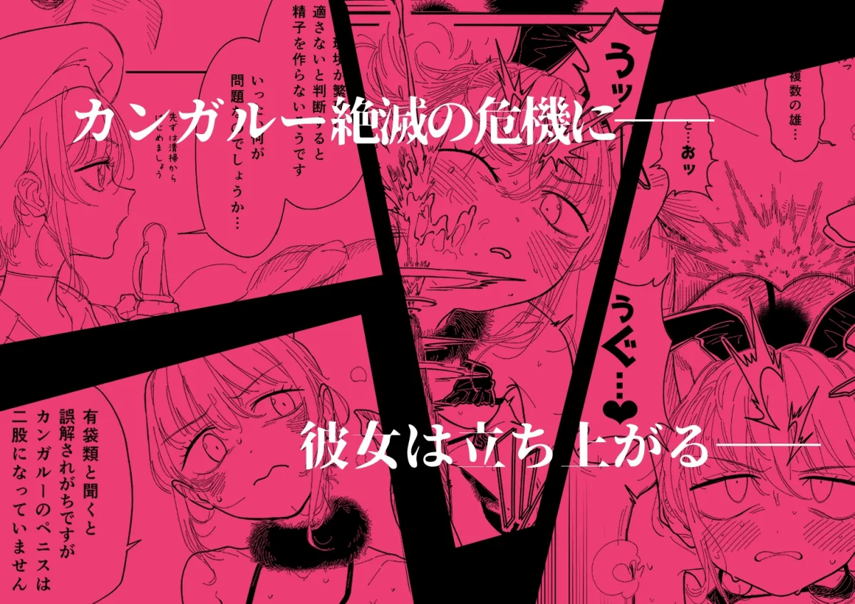 【JC獣姦】カンガルーのきもちいい