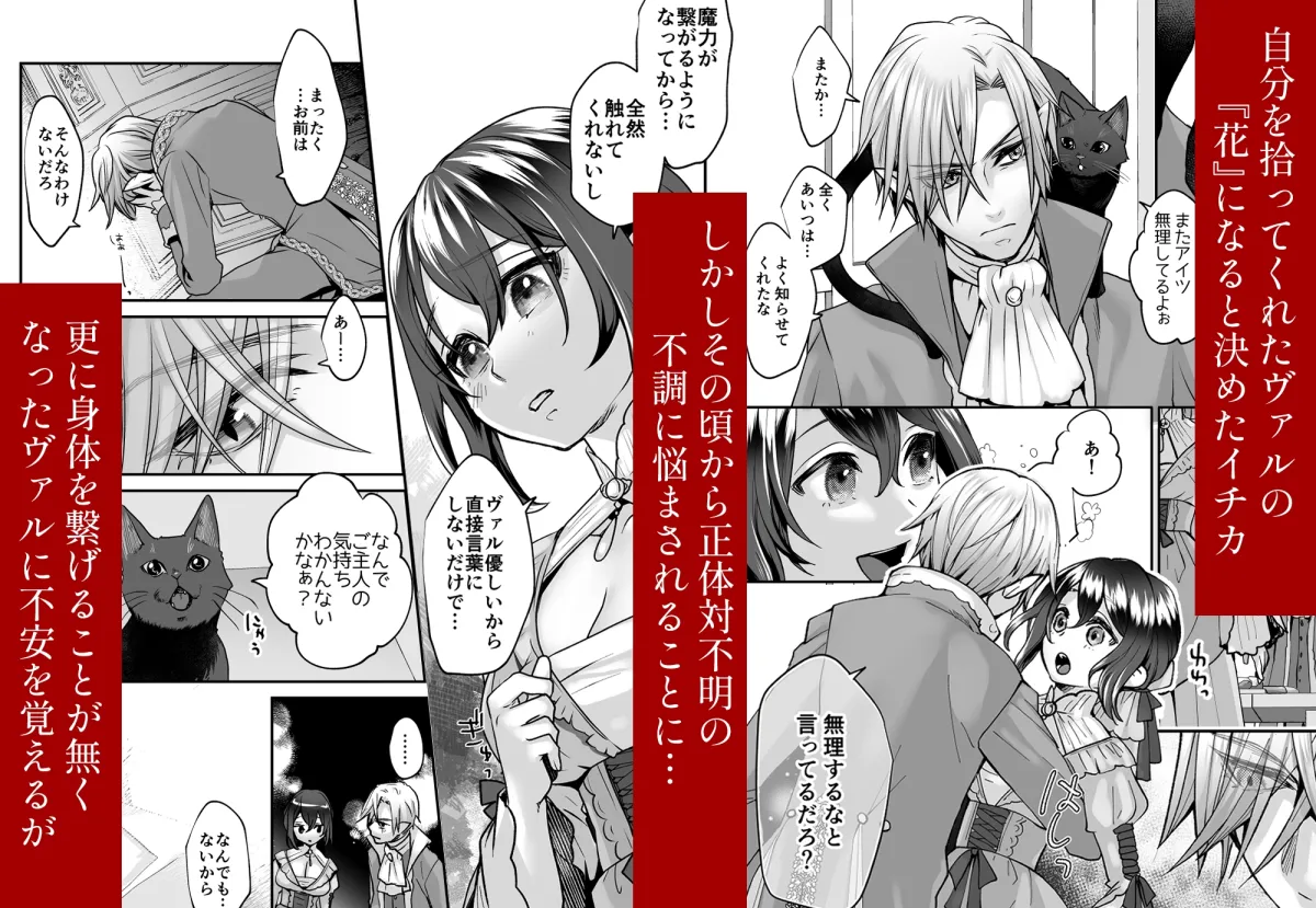 渡りの花嫁は竜の試練に晒される 渡りの花嫁は竜の試練に晒される