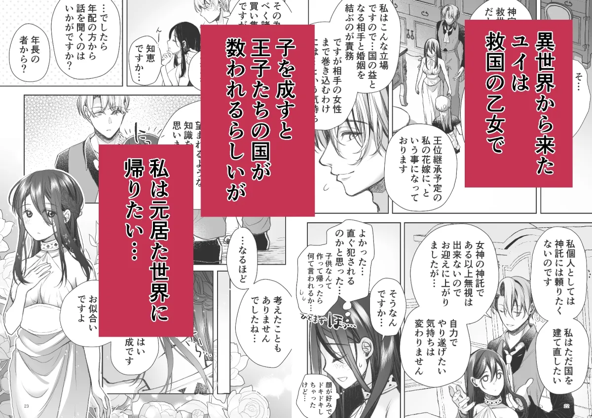 帰りたい救国の乙女と帰したくないふたりの王子<前編> 帰りたい救国の乙女と帰したくないふたりの王子<前編>