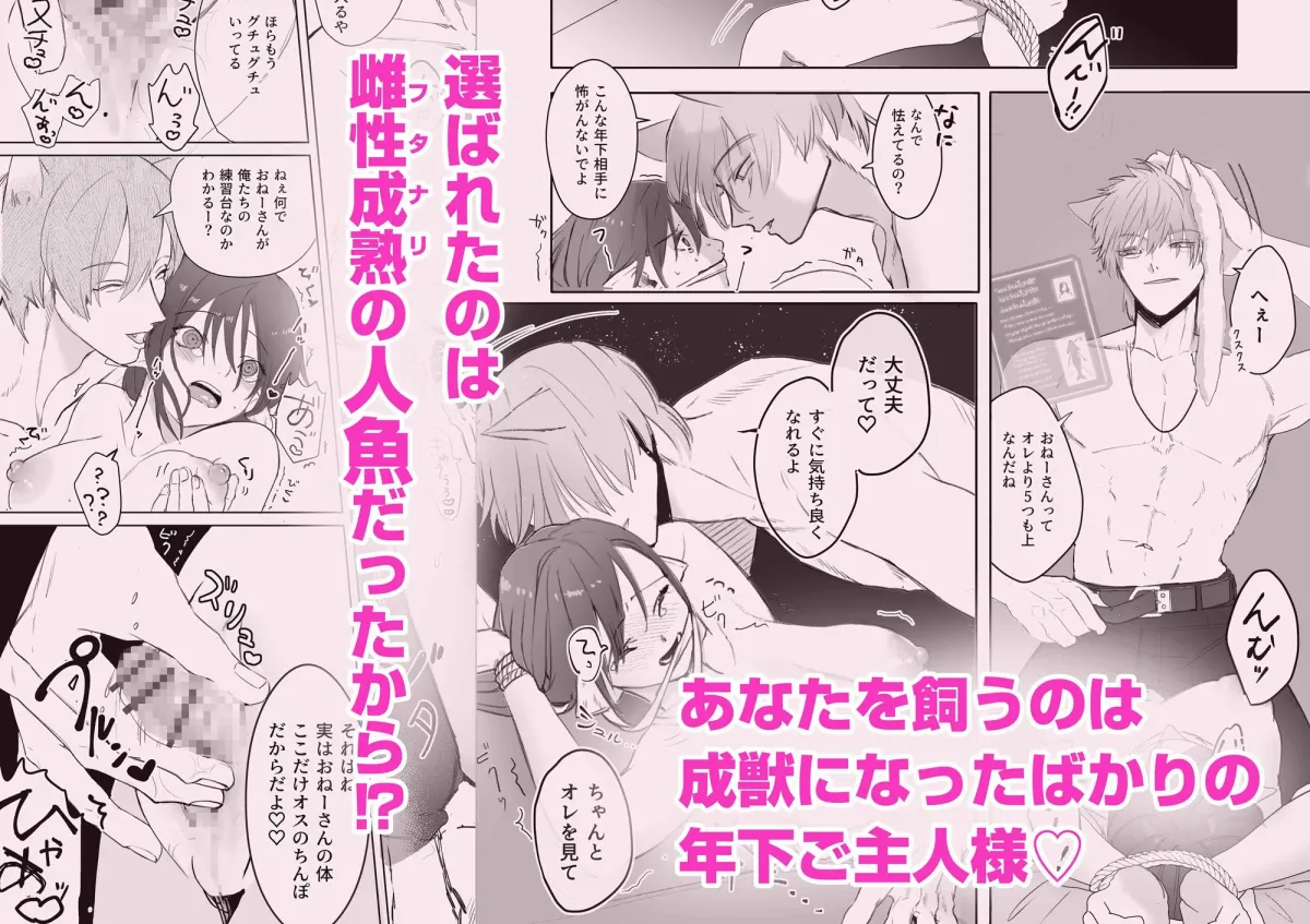 フタナリ人魚は年下ご主人様の餌になります。