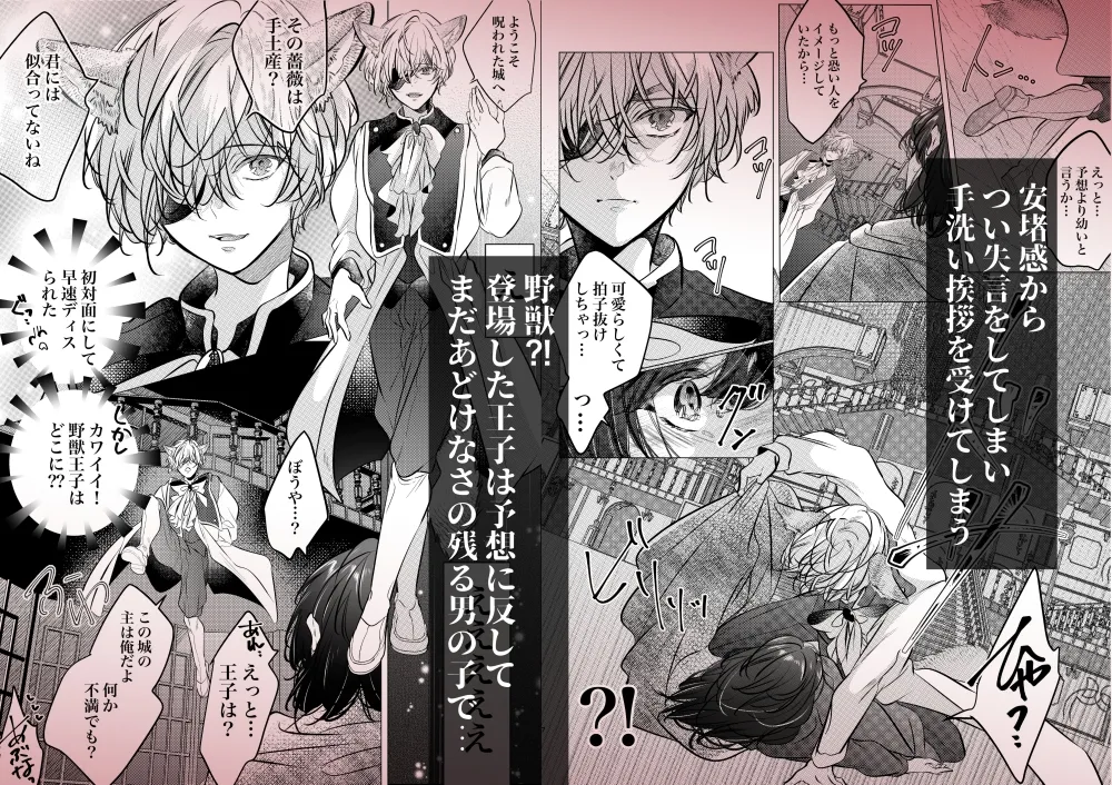 その恋は御伽話の中で。〜野獣少年と転生美女(?)の晩餐会〜