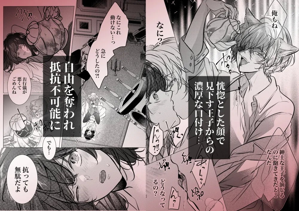 その恋は御伽話の中で。〜野獣少年と転生美女(?)の晩餐会〜