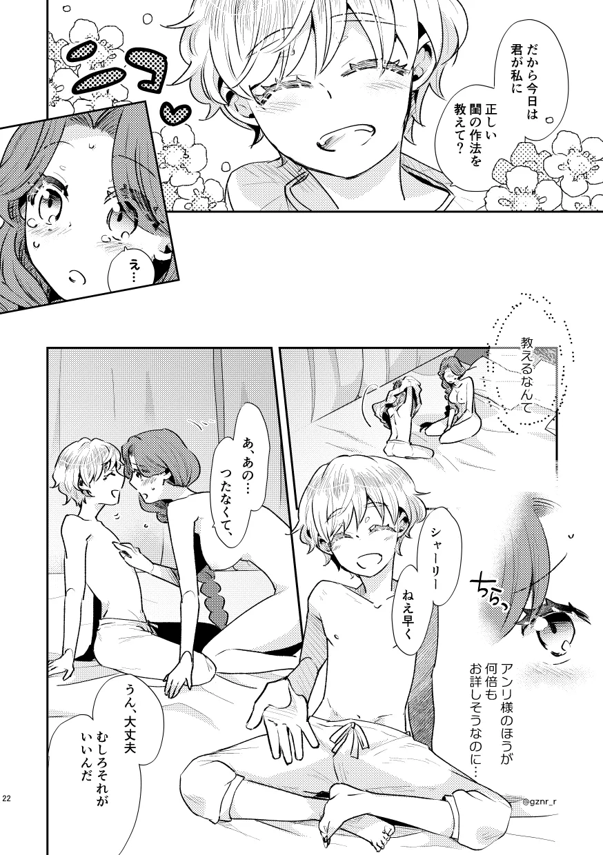 少年王と年上王妃 past days 少年王と年上王妃 past days