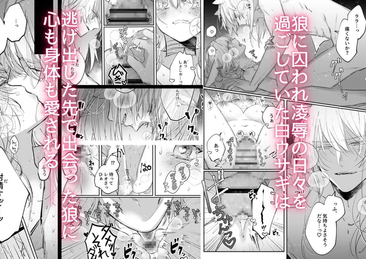 脱兎は狼の愛を知る 脱兎は狼の愛を知る