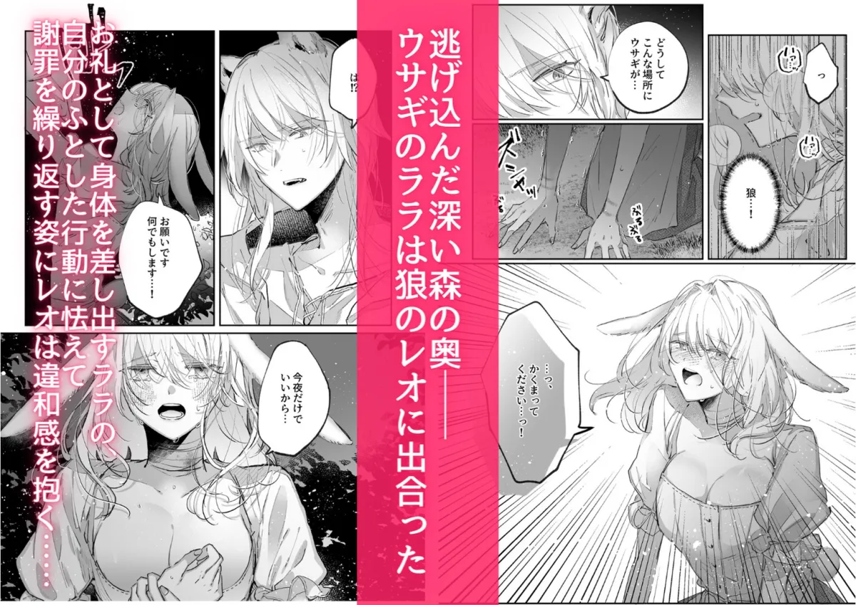 脱兎は狼の愛を知る 脱兎は狼の愛を知る