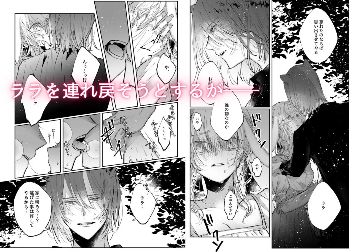 脱兎は狼の愛を知る 脱兎は狼の愛を知る