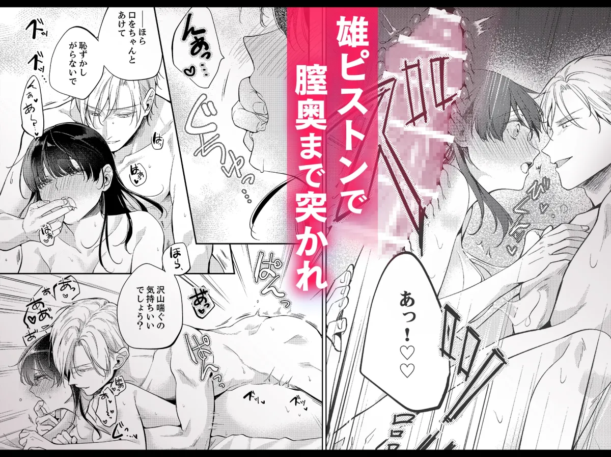 性欲結婚~絶倫な旦那様とケダモノSEX 性欲結婚~絶倫な旦那様とケダモノSEX