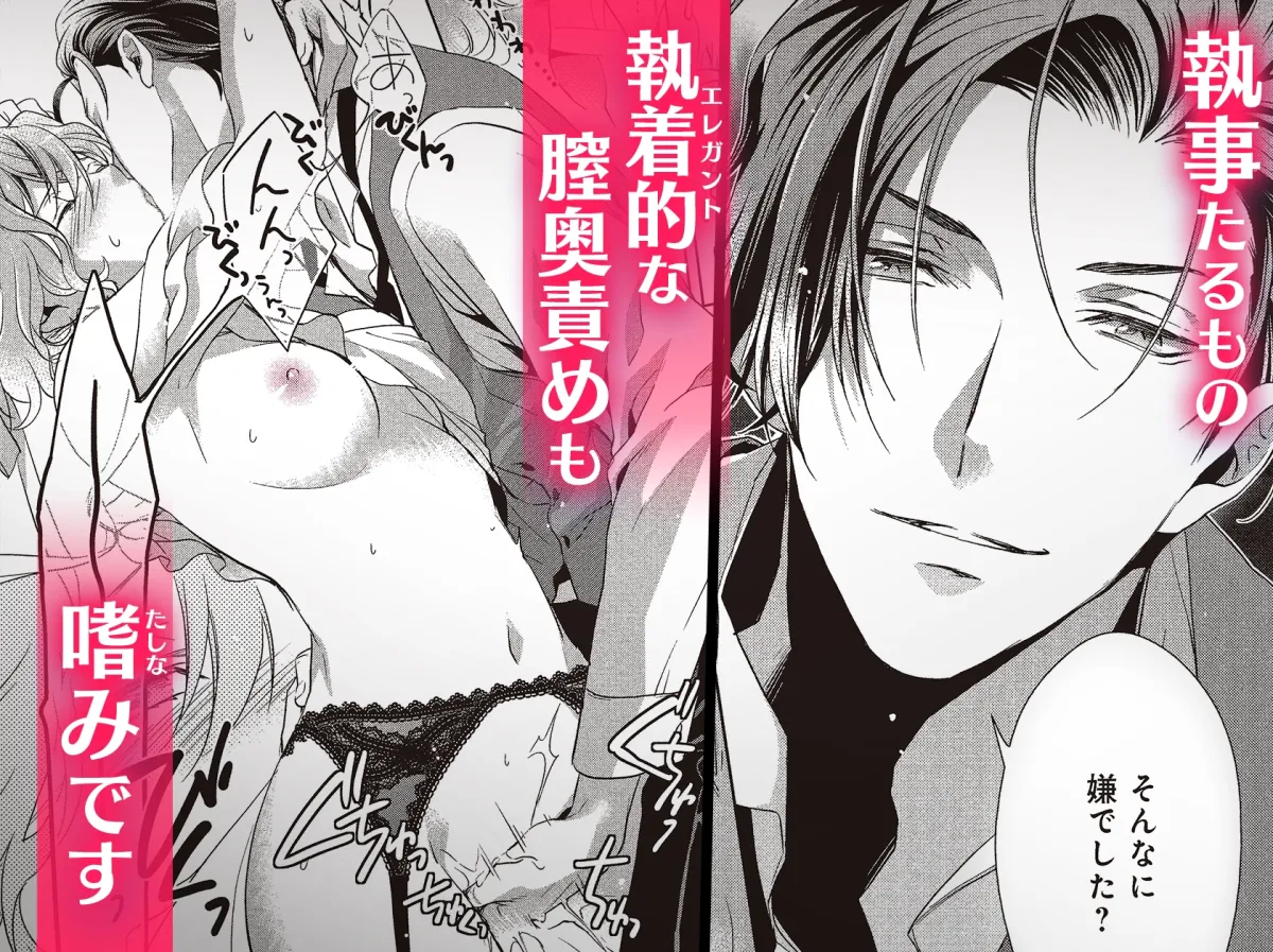 冷酷執事はメイドを溺愛する 冷酷執事はメイドを溺愛する