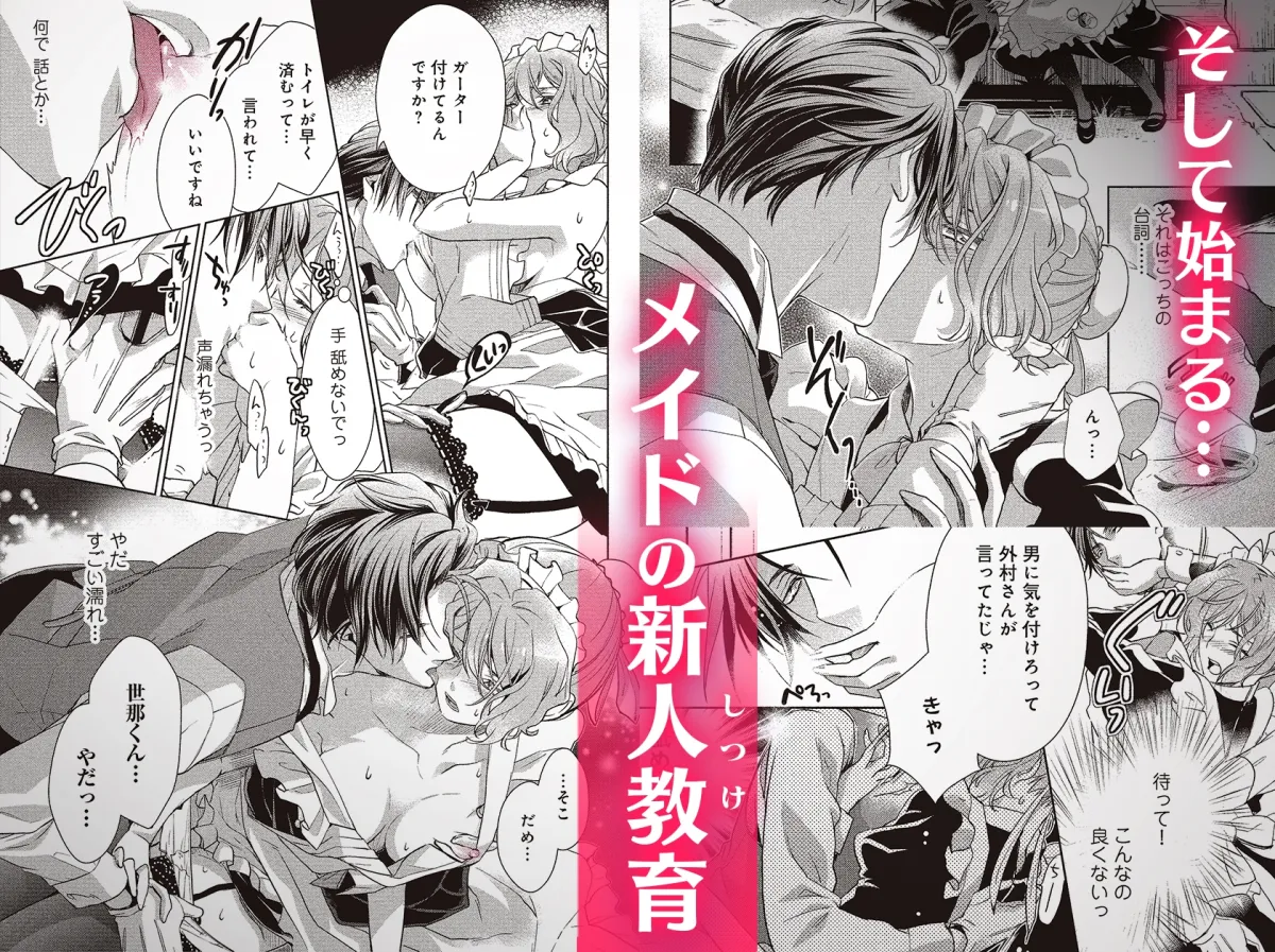 冷酷執事はメイドを溺愛する 冷酷執事はメイドを溺愛する