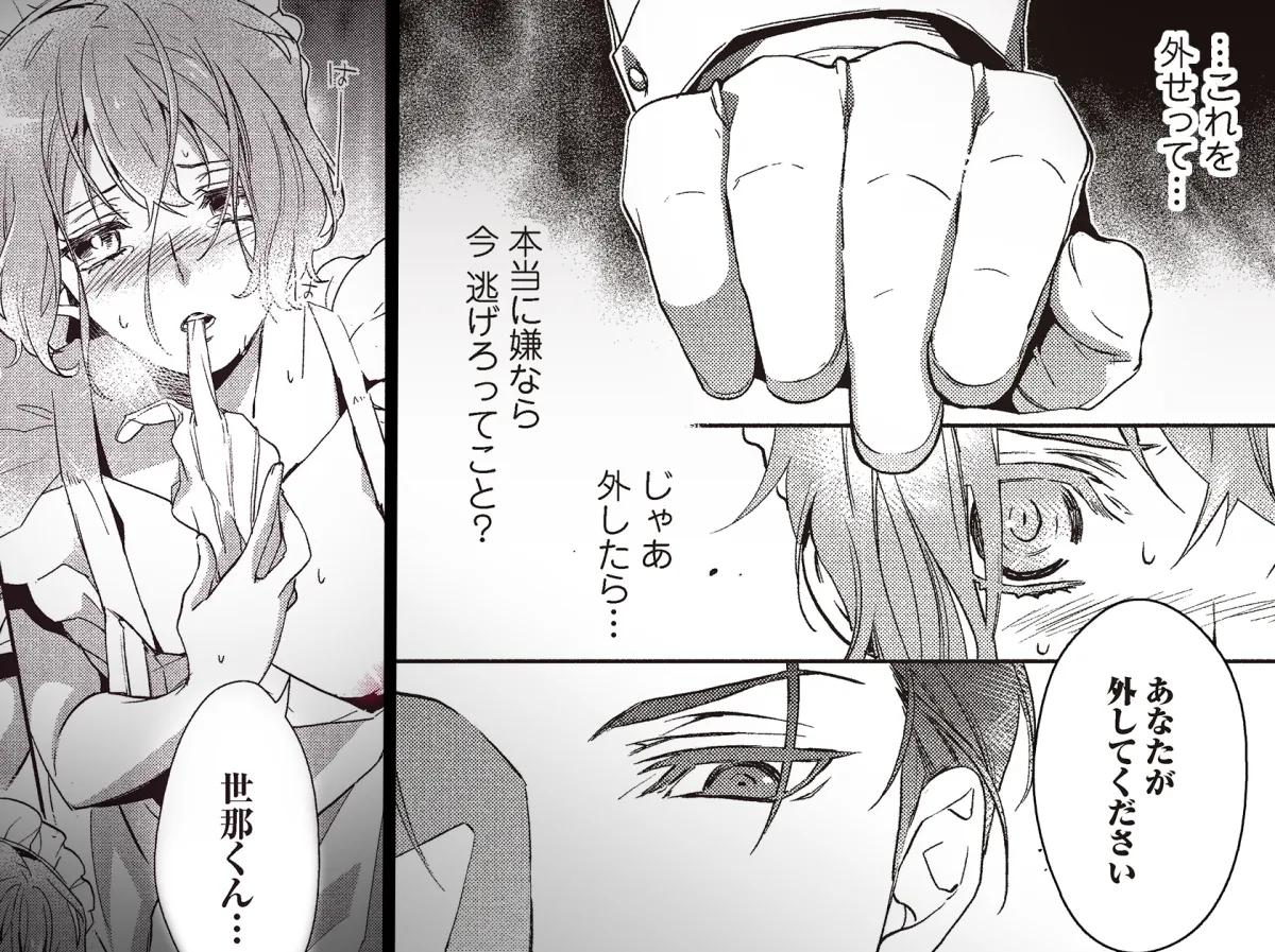 冷酷執事はメイドを溺愛する 冷酷執事はメイドを溺愛する