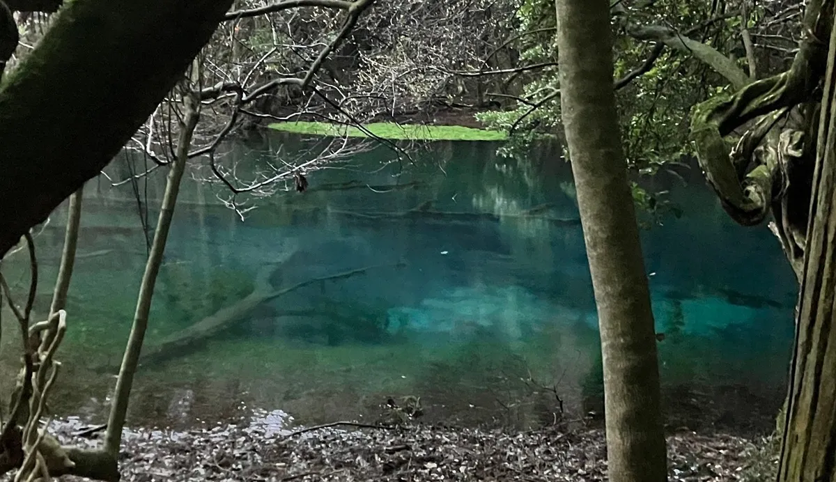 耳舐め&耳ふーサンドイッチ 田舎の癒し ~山形県遊佐町音源~ 【耳恋なかさん&そよかぜみらいさん/安眠特化/環境音現地収録】 耳舐め&耳ふーサンドイッチ 田舎の癒し ~山形県遊佐町音源~ 【耳恋なかさん&そよかぜみらいさん/安眠特化/環境音現地収録】