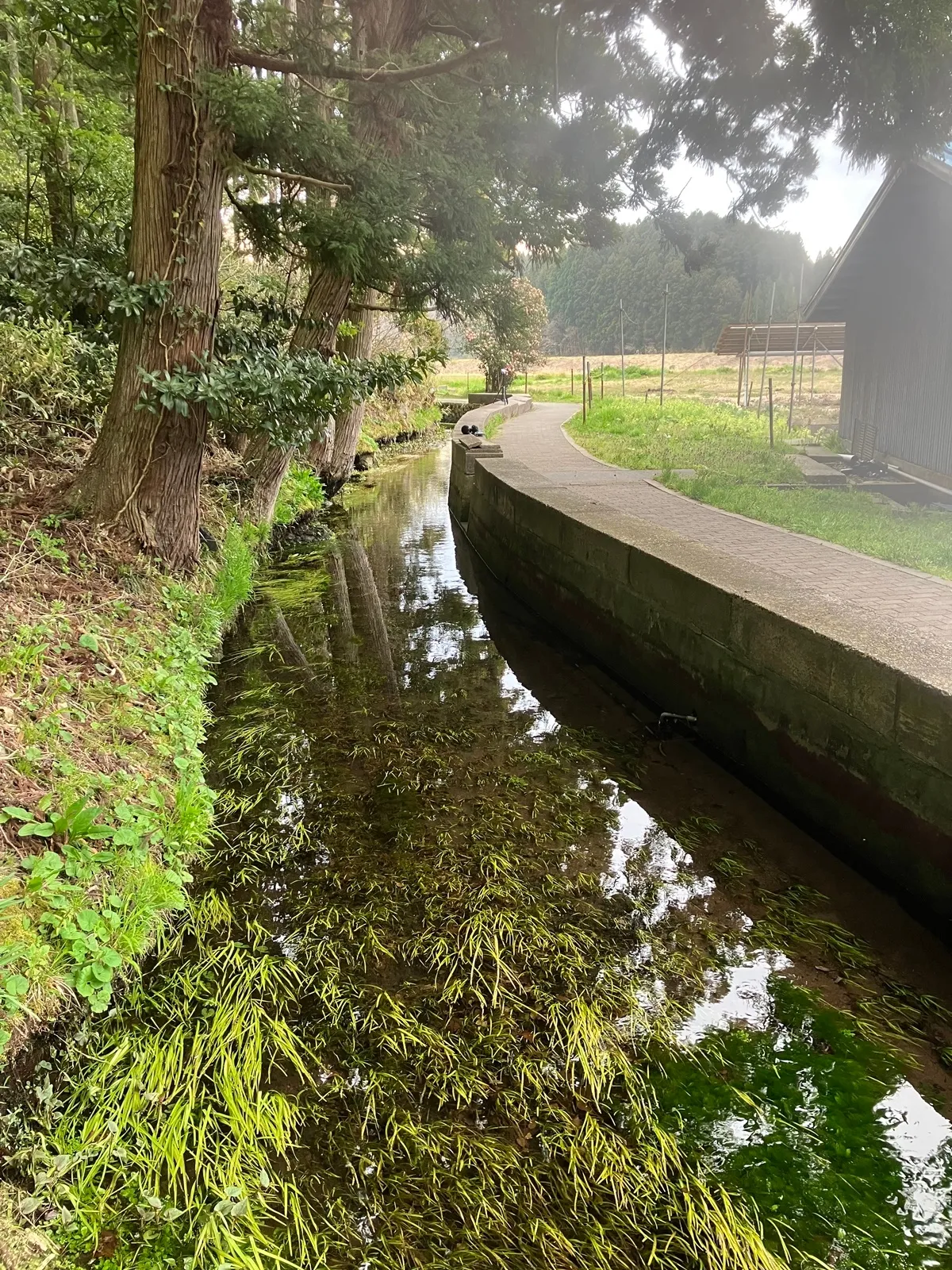 耳舐め&耳ふーサンドイッチ 田舎の癒し ~山形県遊佐町音源~ 【耳恋なかさん&そよかぜみらいさん/安眠特化/環境音現地収録】 耳舐め&耳ふーサンドイッチ 田舎の癒し ~山形県遊佐町音源~ 【耳恋なかさん&そよかぜみらいさん/安眠特化/環境音現地収録】