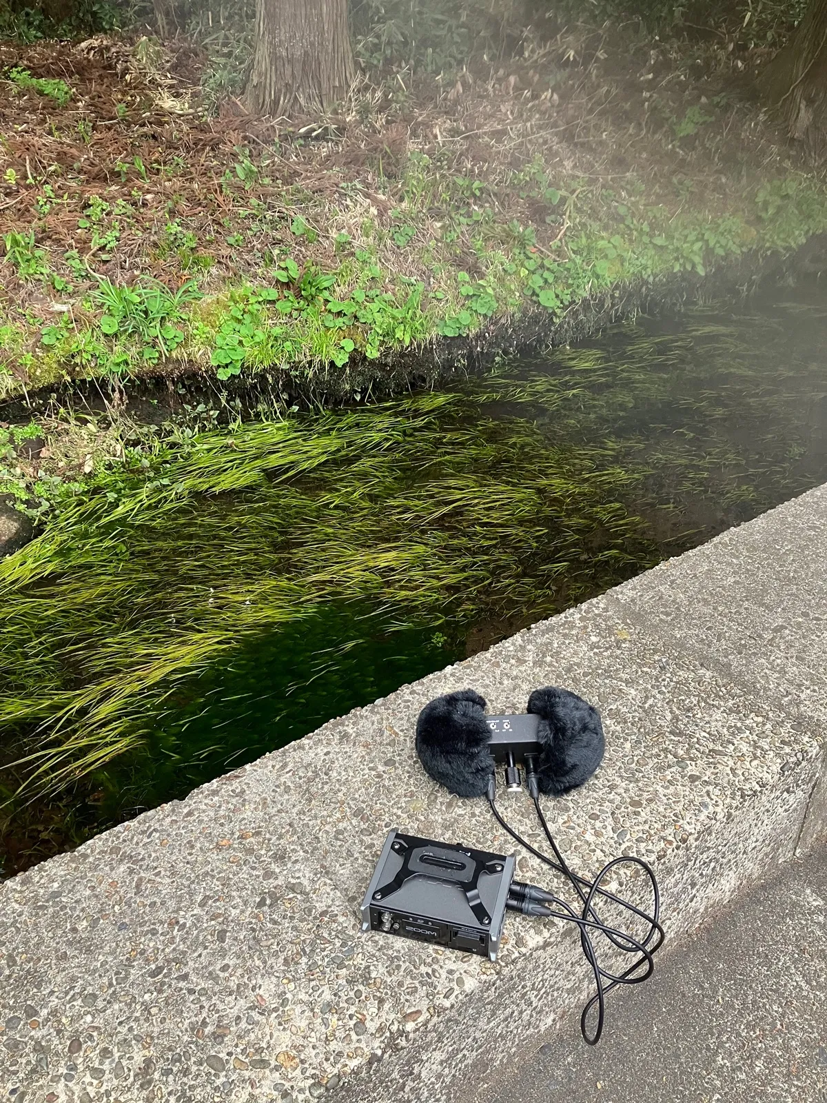 耳舐め&耳ふーサンドイッチ 田舎の癒し ~山形県遊佐町音源~ 【耳恋なかさん&そよかぜみらいさん/安眠特化/環境音現地収録】 耳舐め&耳ふーサンドイッチ 田舎の癒し ~山形県遊佐町音源~ 【耳恋なかさん&そよかぜみらいさん/安眠特化/環境音現地収録】