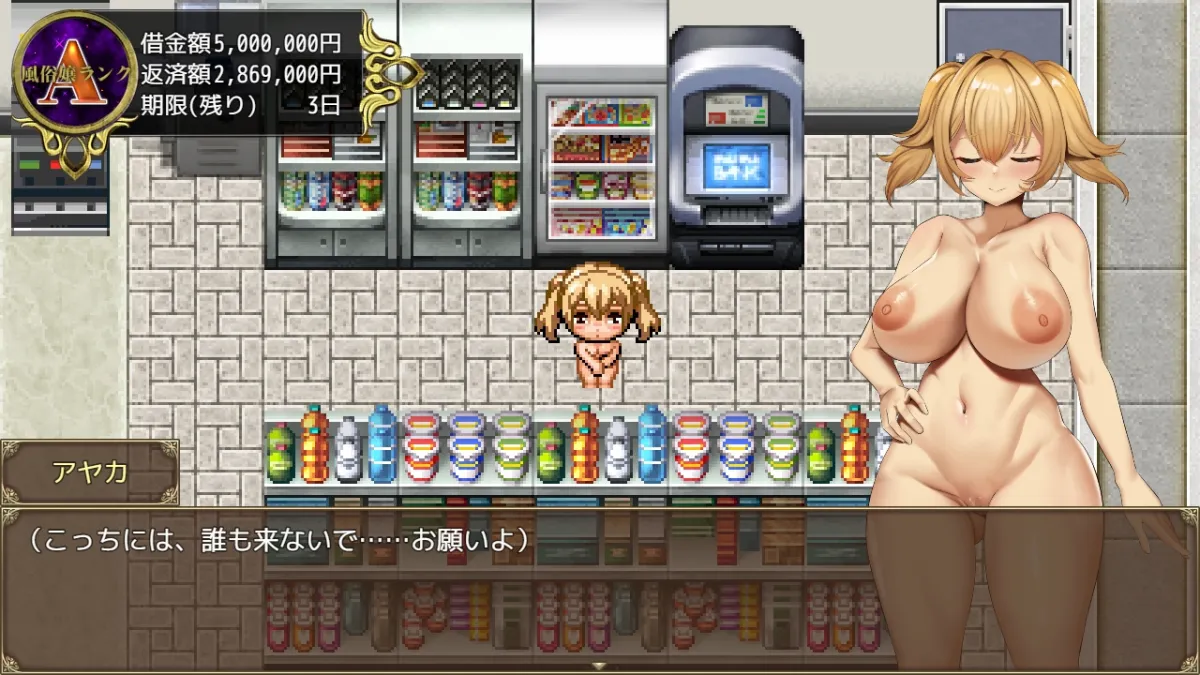 3K～完全管理姦淫