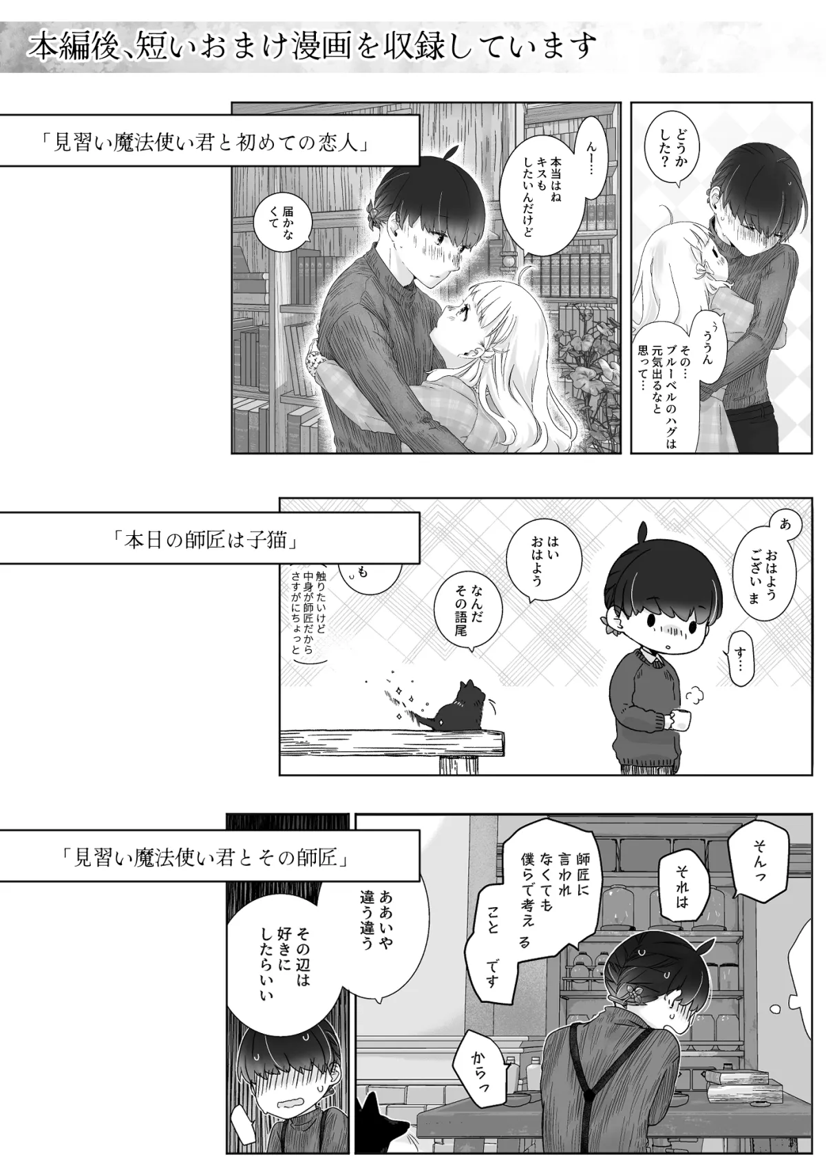 見習い魔法使い君の月の夜