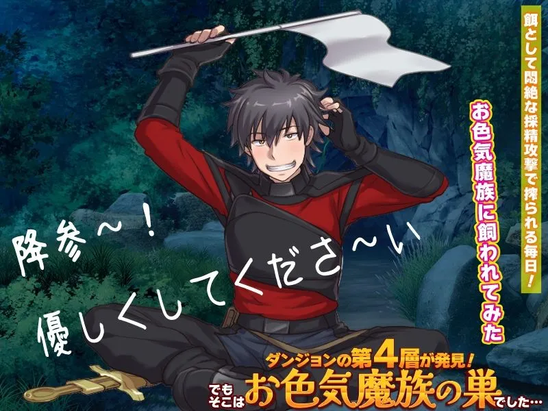ダンジョンの第4層が発見!でもそこはお色気魔族の巣でした… ダンジョンの第4層が発見!でもそこはお色気魔族の巣でした…