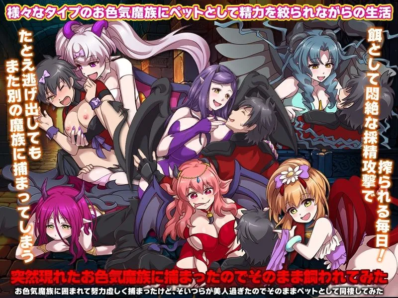 ダンジョンの第4層が発見!でもそこはお色気魔族の巣でした… ダンジョンの第4層が発見!でもそこはお色気魔族の巣でした…