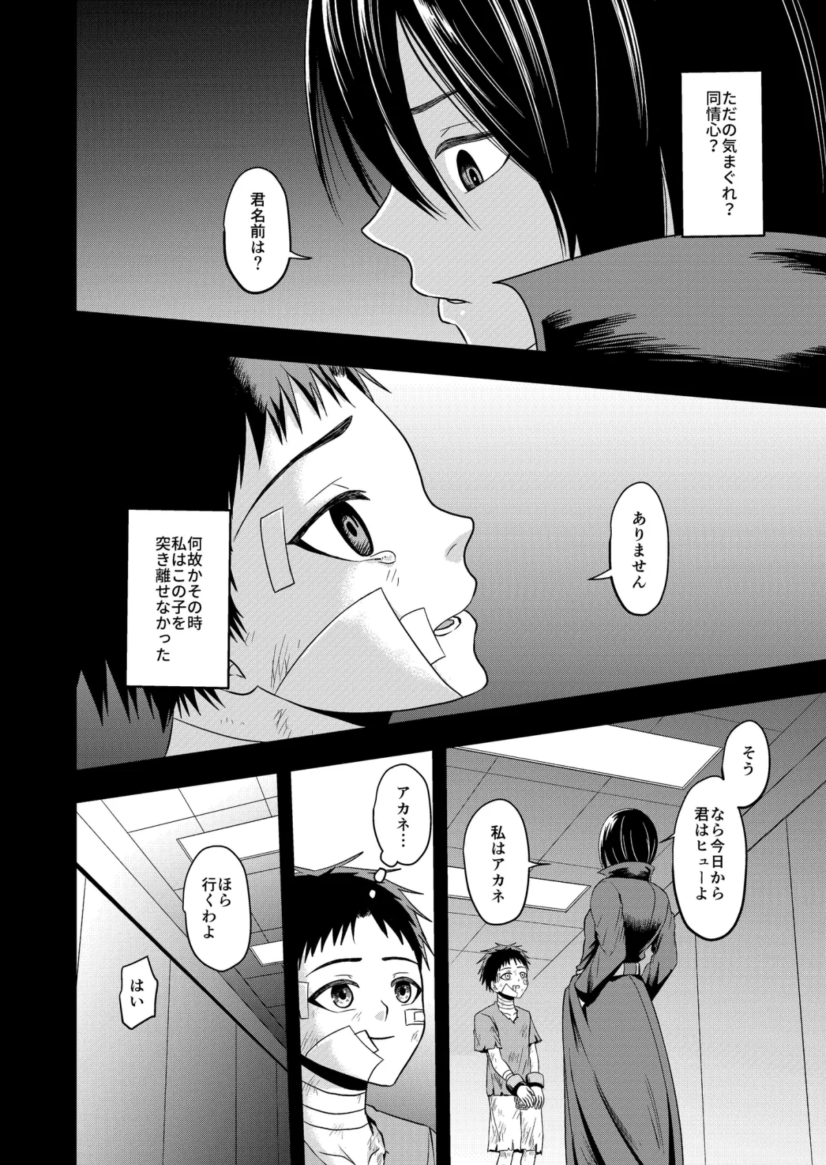 拾い拾われた二人の情事 拾い拾われた二人の情事