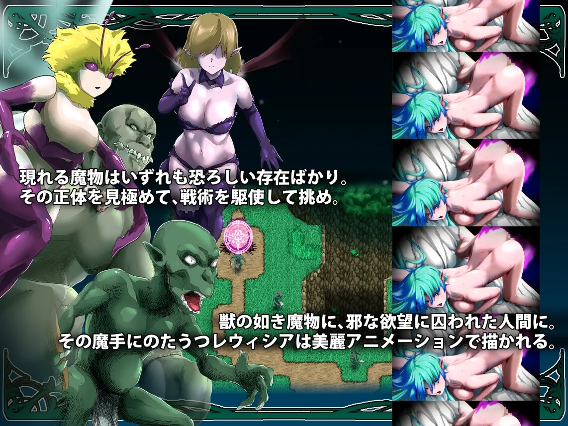 樹海に咲くレウィシア 樹海に咲くレウィシア