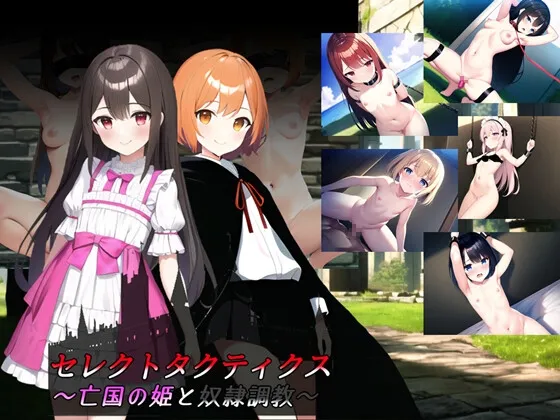 セレクトタクティクス ~亡国の姫と奴隷調教~ セレクトタクティクス ~亡国の姫と奴隷調教~