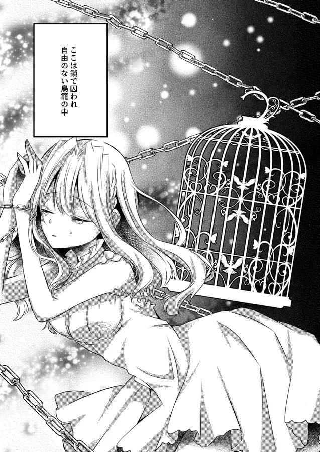 終わらない夜と鳥籠のナイトメア