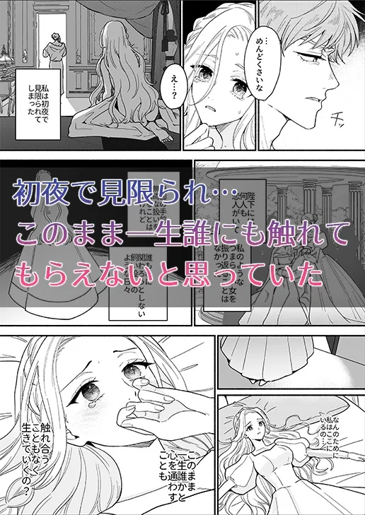 王妃は夫を殺した義弟に堕とされる