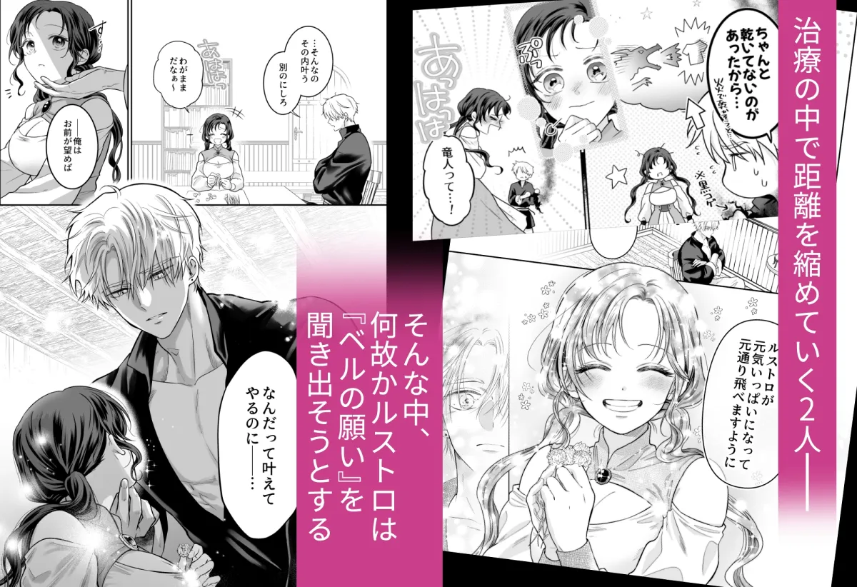 本音を隠した治療師は竜人サマに身体の奥まで暴かれる 本音を隠した治療師は竜人サマに身体の奥まで暴かれる