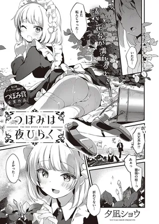 つぼみは夜ひらく つぼみは夜ひらく