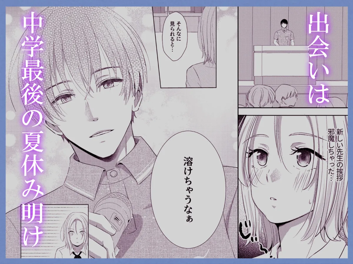 先生とわたし、夏、純情。