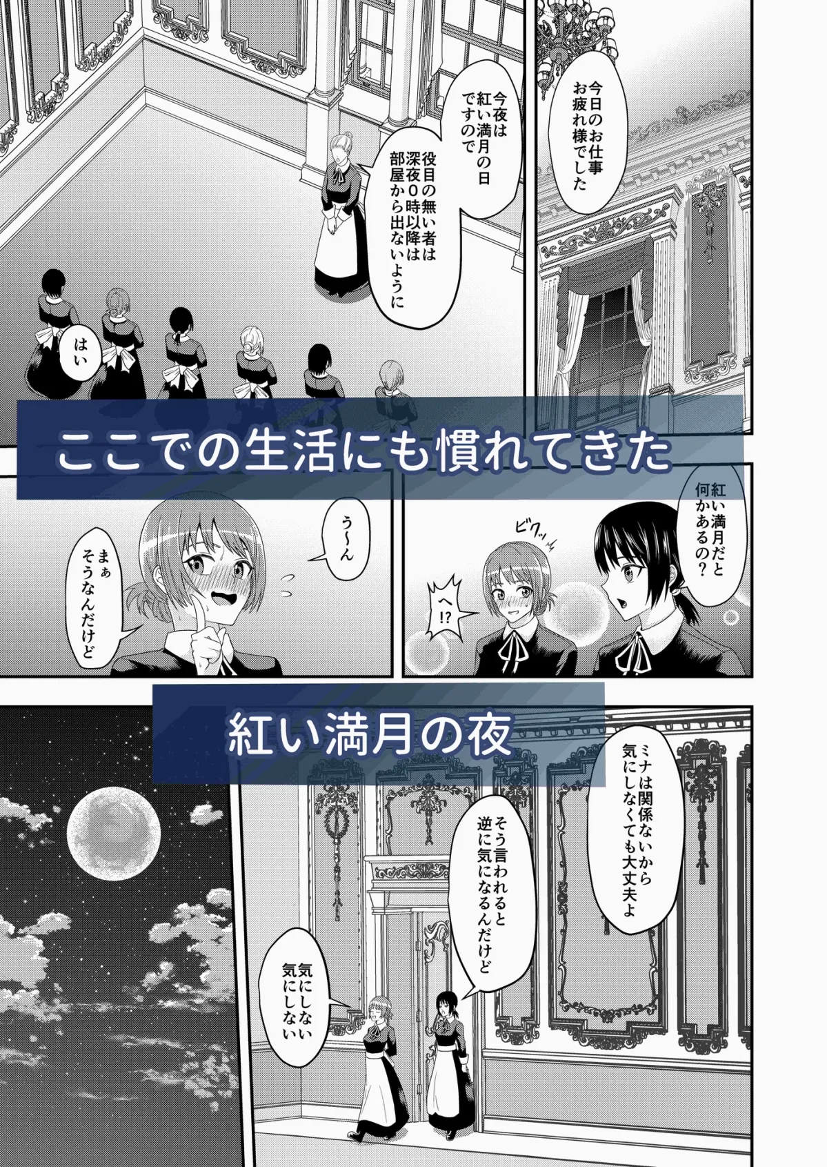 転移先で性欲を受け止める伴侶になりました 転移先で性欲を受け止める伴侶になりました