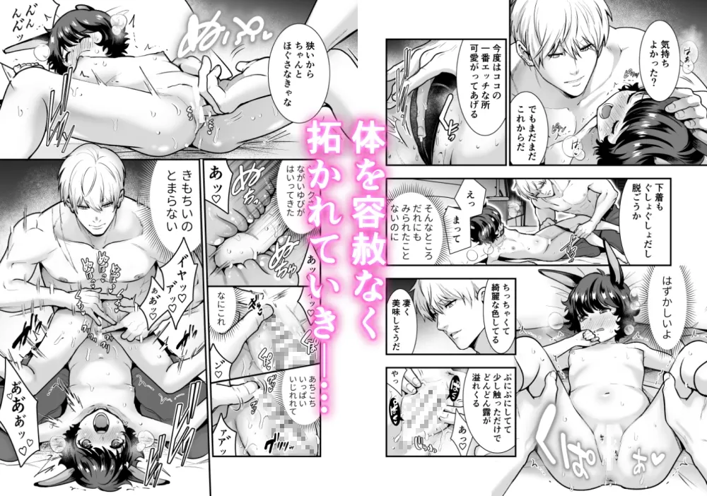 発情うさぎちゃん、殺し屋さんと交際0日婚