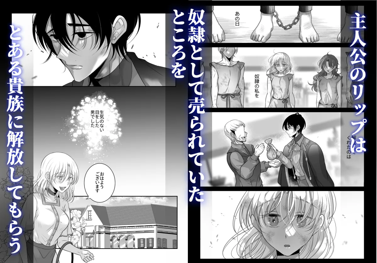 奴隷の私を解放したのは不能かと思ったらセックス依存症の男でした 奴隷の私を解放したのは不能かと思ったらセックス依存症の男でした