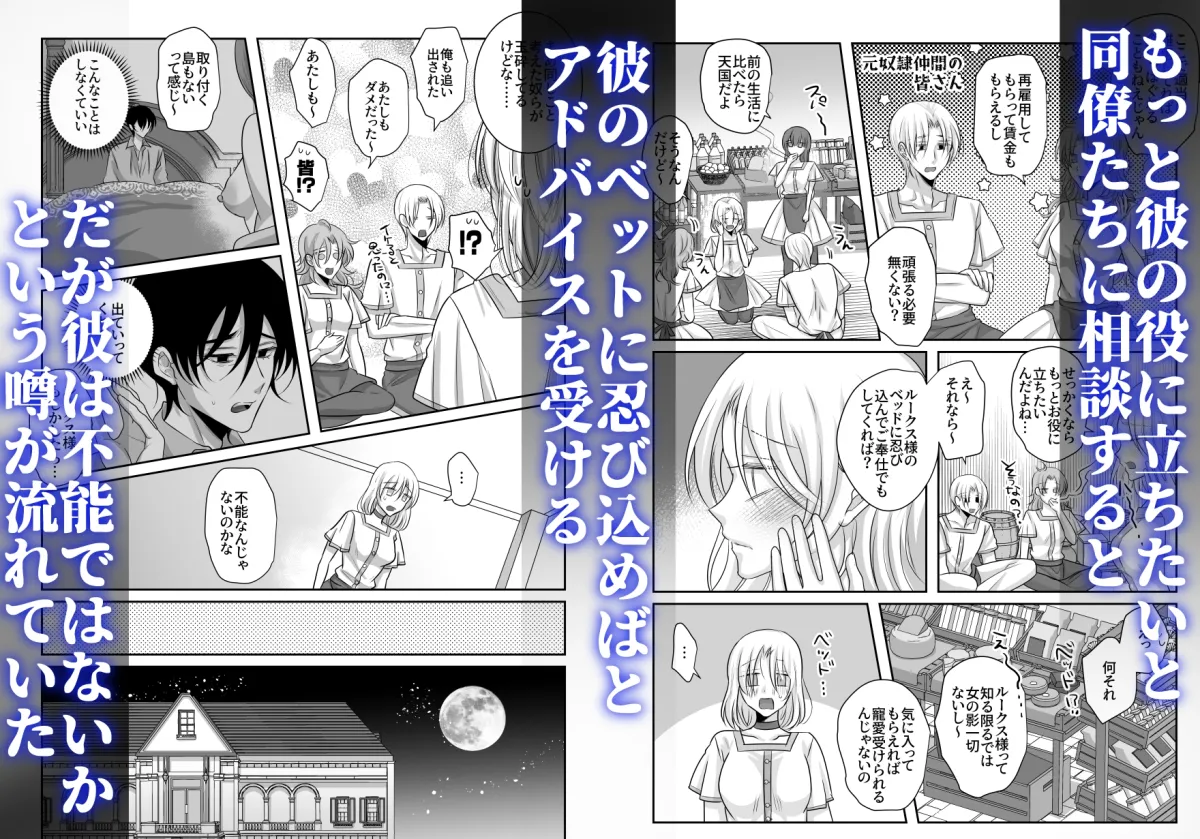 奴隷の私を解放したのは不能かと思ったらセックス依存症の男でした 奴隷の私を解放したのは不能かと思ったらセックス依存症の男でした