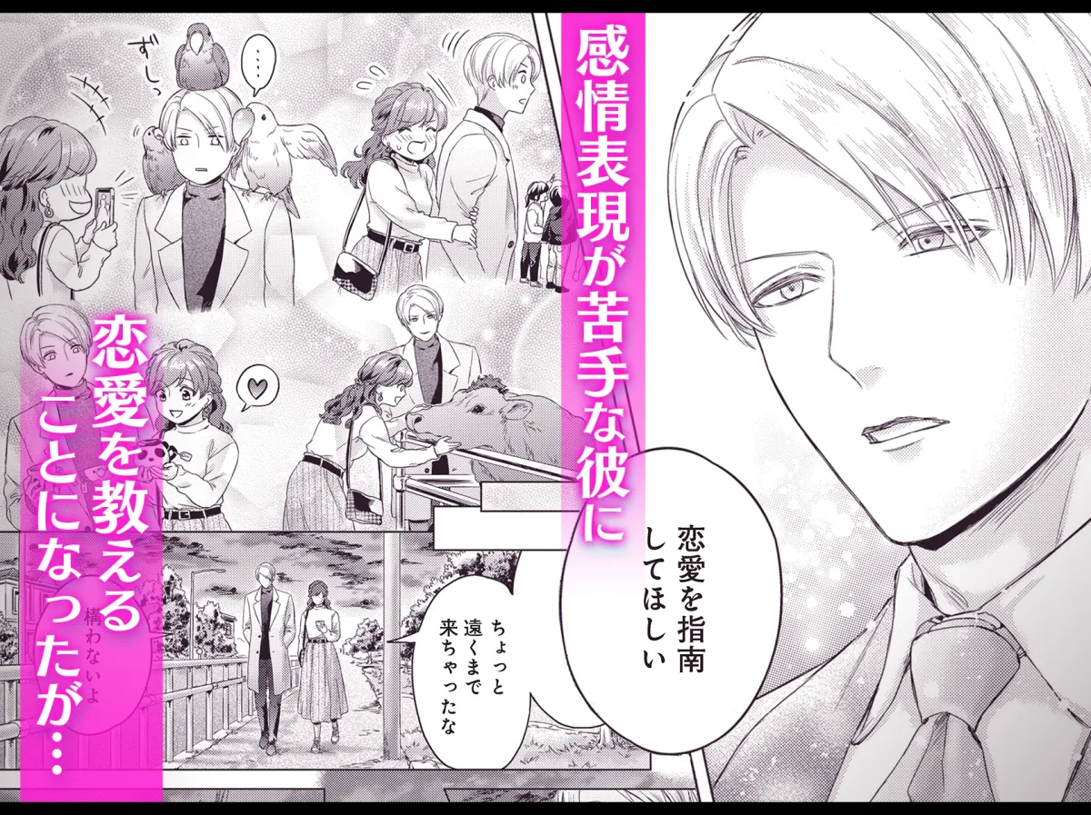 冷徹王子は恋を知りたい～恋愛指南ってソコまでするんですか!?～