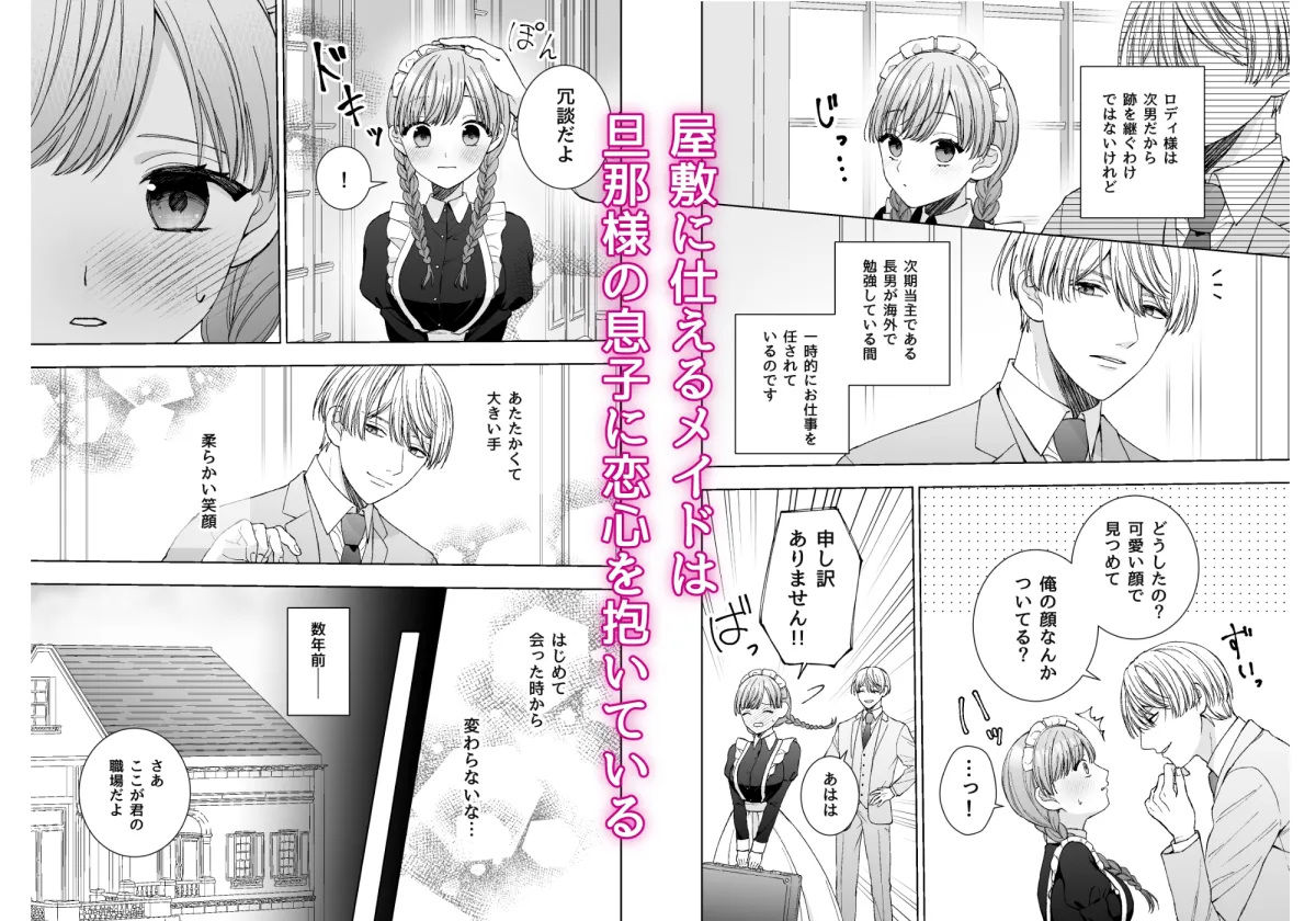 メイドは大好きなご主人様に躾される