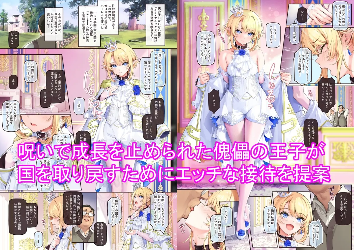 異世界オトコノコ王子従順隷奴~呪いで成長が止まった王子を弄びメス堕ちさせる~ 異世界オトコノコ王子従順隷奴~呪いで成長が止まった王子を弄びメス堕ちさせる~