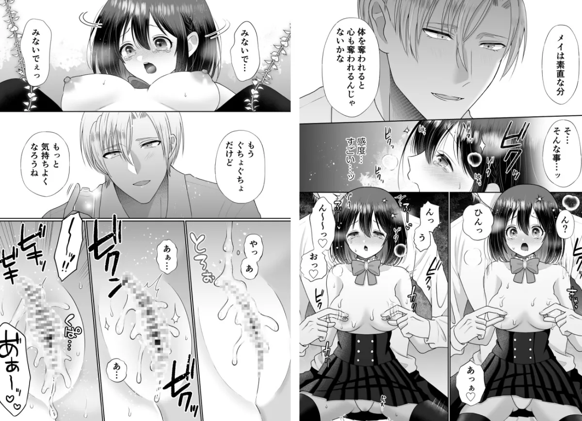 乙女ゲーに転生したら攻略されました〜学園の王子の溺愛調教〜