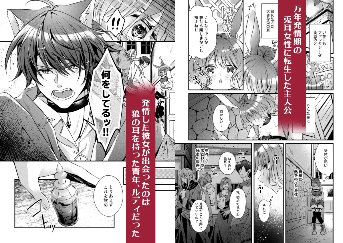 転生ウサ耳娘は万年発情期!?