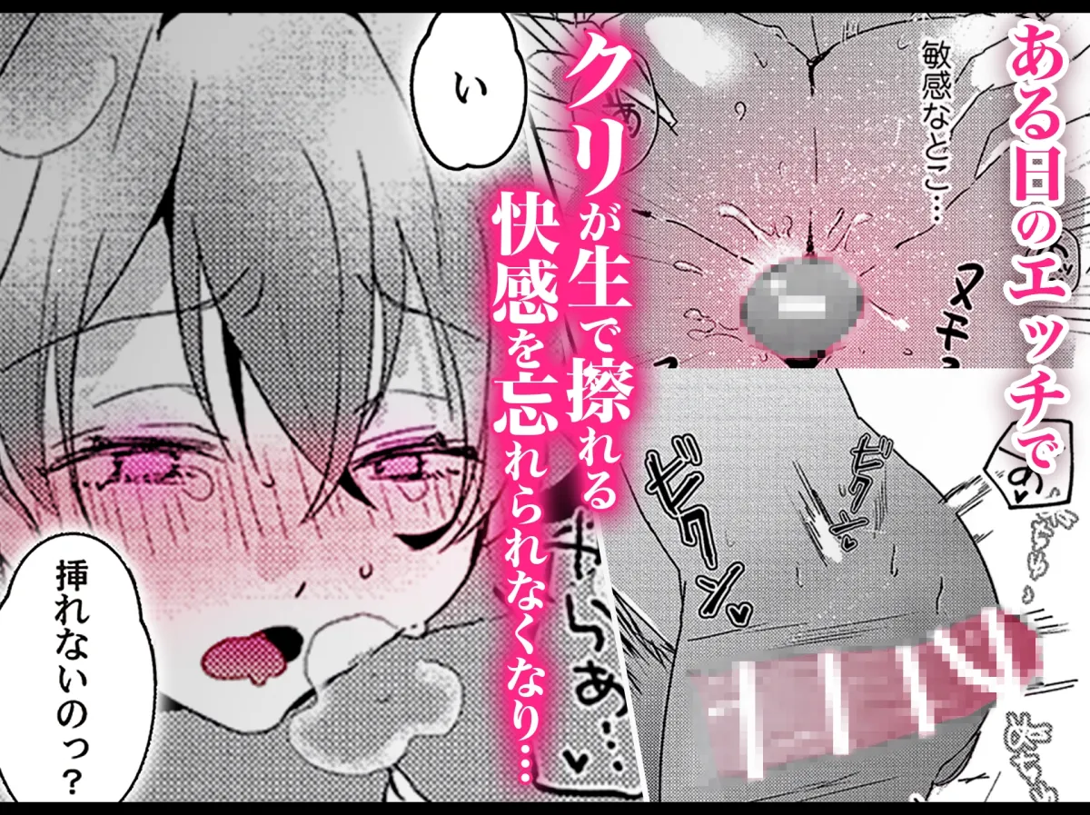 羽柴くんの逃愛marriage事情 ～溺愛ダーリンは今日も嘘をつく～ 上下巻セット