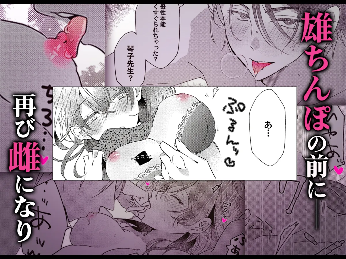 羽柴くんの逃愛marriage事情 ～溺愛ダーリンは今日も嘘をつく～ 上下巻セット