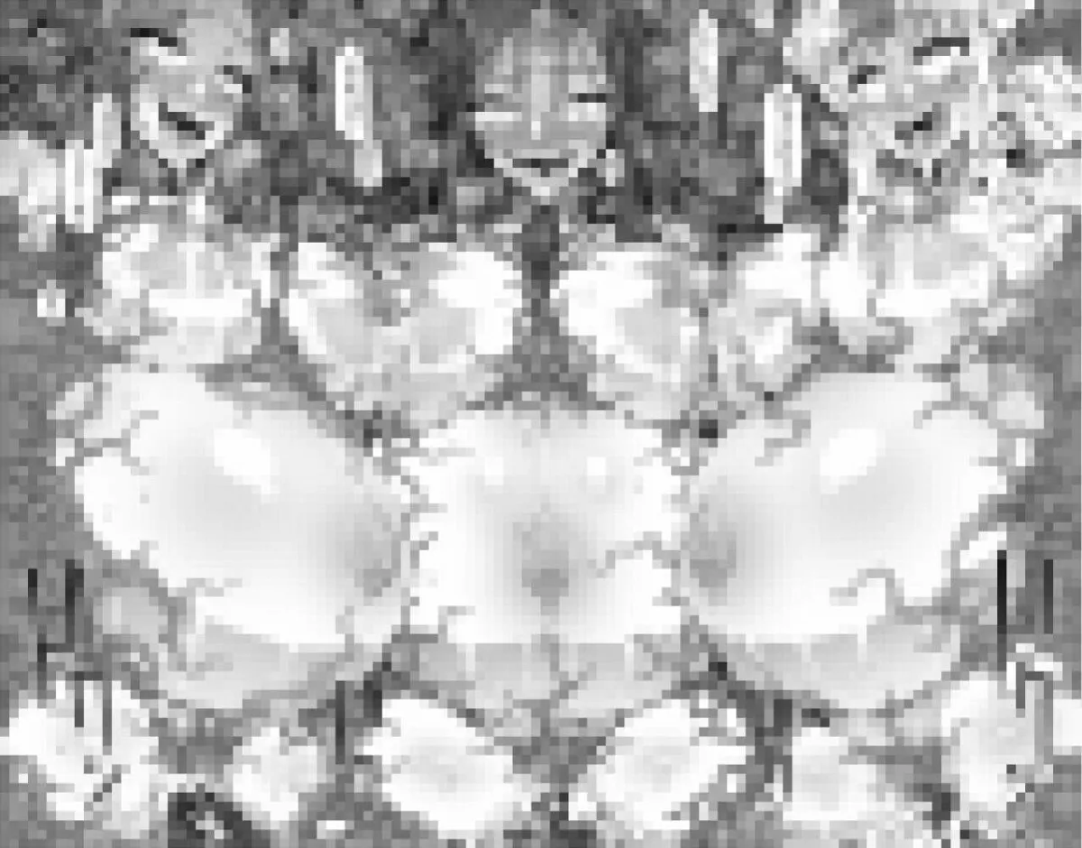 Re Notice: End of App Service Re Notice: End of App Service