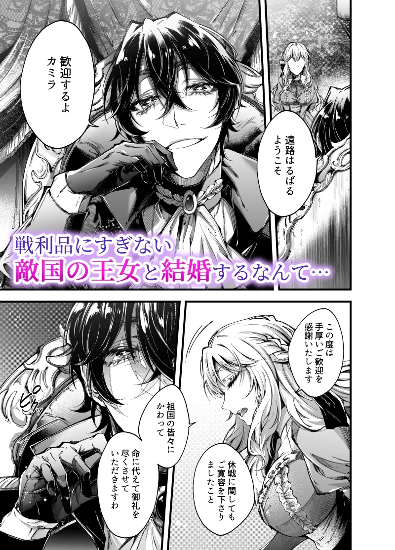 売られた姫と敵国王子～王子に執着溺愛されています～