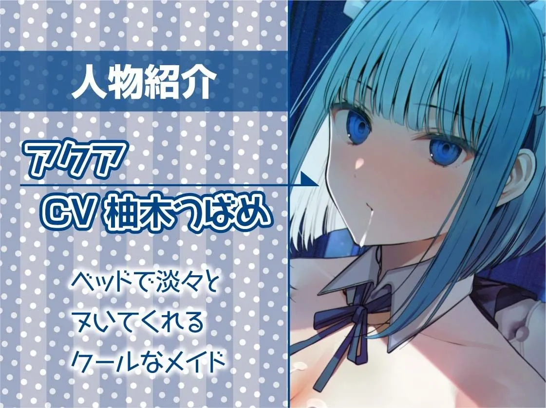 クールメイドさんは夜になるとベッドに来て仕事だから淡々とヌいてくれる【フォーリーサウンド】 クールメイドさんは夜になるとベッドに来て仕事だから淡々とヌいてくれる【フォーリーサウンド】