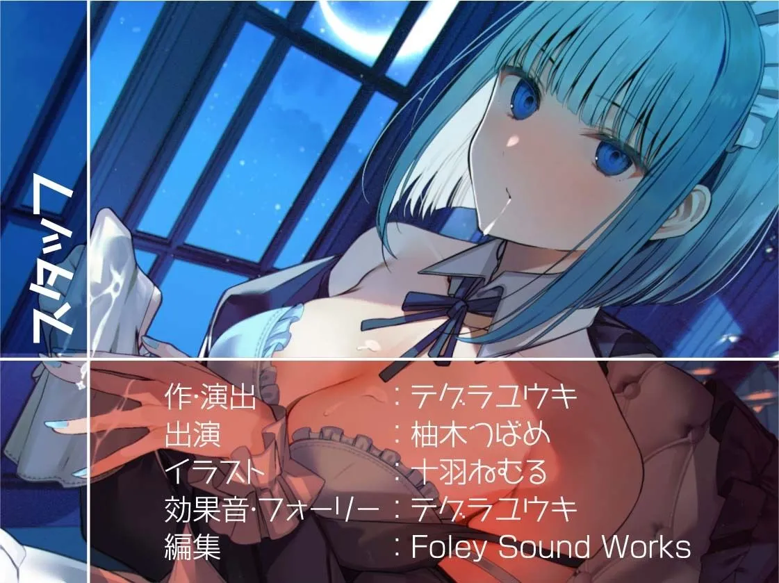 クールメイドさんは夜になるとベッドに来て仕事だから淡々とヌいてくれる【フォーリーサウンド】 クールメイドさんは夜になるとベッドに来て仕事だから淡々とヌいてくれる【フォーリーサウンド】