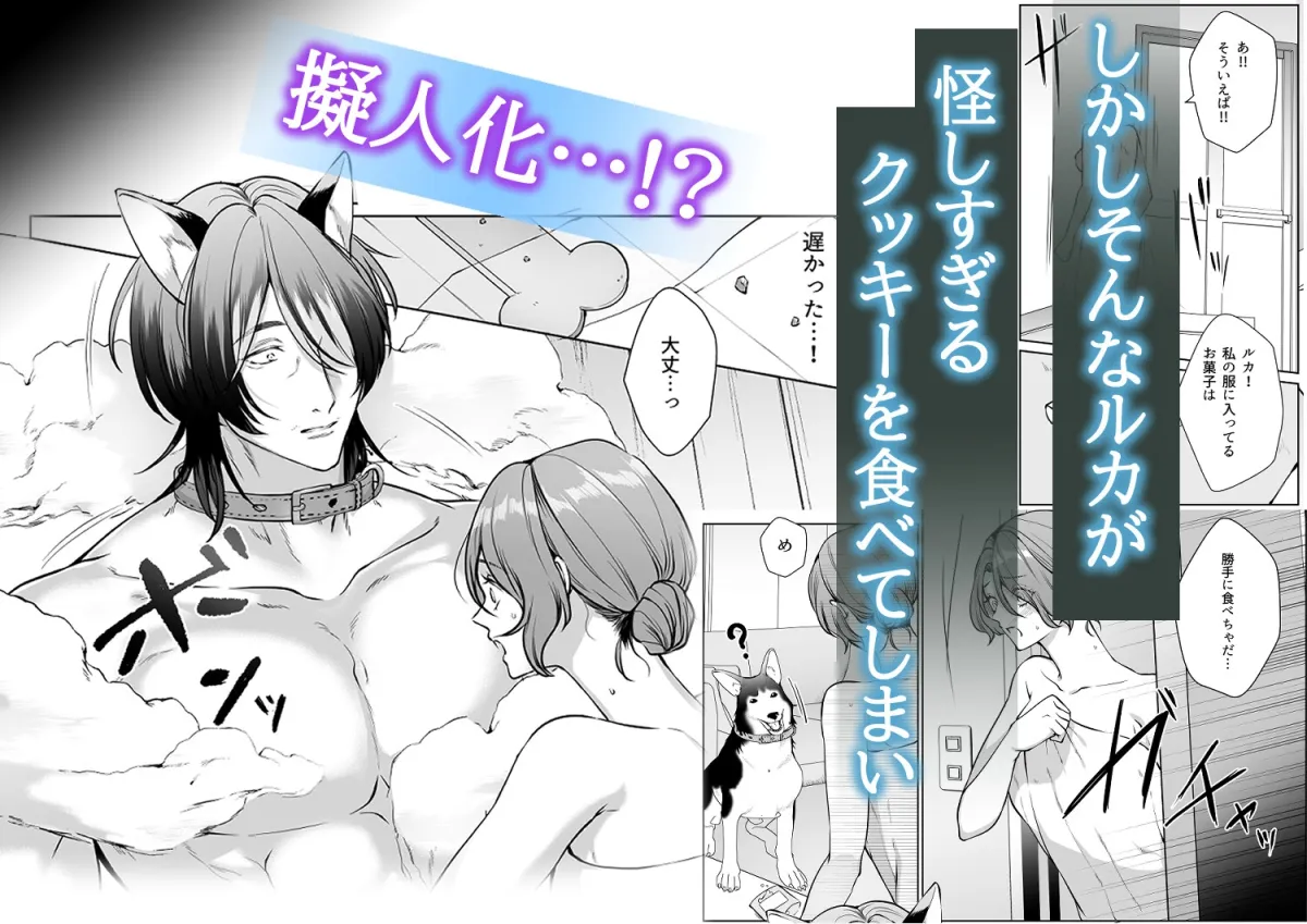 イケオジになった愛犬が 毎晩私でオナニーしてます イケオジになった愛犬が 毎晩私でオナニーしてます