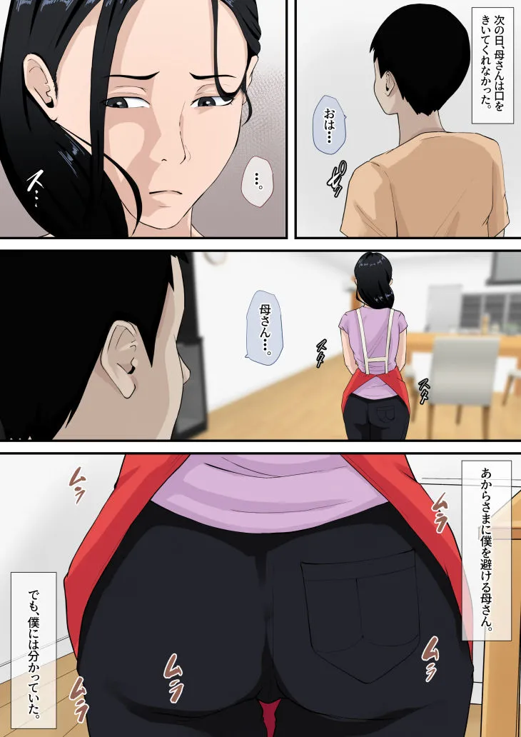 僕の母が再婚しない理由(わけ) 僕の母が再婚しない理由(わけ)