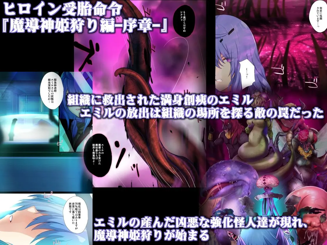 ヒロイン受胎命令 ヒロイン受胎命令