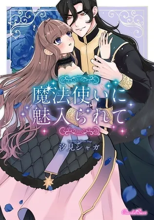 魔法使いに魅入られて 魔法使いに魅入られて